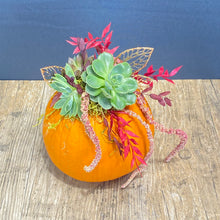 Charger l&#39;image dans la galerie, Succulent Pumpkin
