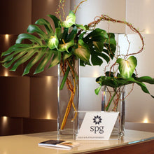 Charger l&#39;image dans la galerie, Lobby &amp; Foyer
