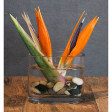 Charger l&#39;image dans la galerie, Restaurant &amp; Bar - The Blooming Idea Florst - The Woodlands, Texas
