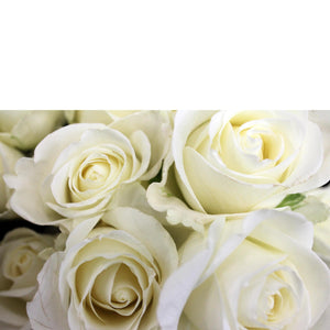 Classic Dozen - The Blooming Idea Florst - The Woodlands, Texas