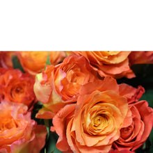 Charger l&#39;image dans la galerie, Infinite Love (36 Roses) - The Blooming Idea Florst - The Woodlands, Texas
