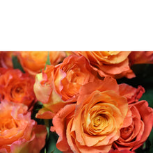 Cargar imagen en el visor de la galería, Swank Six - The Blooming Idea
